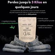 Thé Minceur Detox